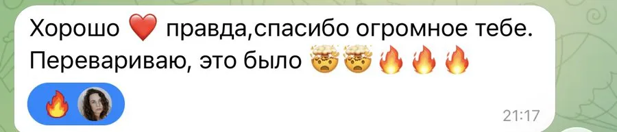 Сообщение Ани после встречи: «Хорошо, правда, спасибо огромное тебе. Перевариваю, это было…»